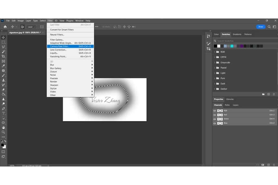 A Photoshop window with the Vester Zhang on the background with the Filter tab open highlighting the Camera Raw Filter option
