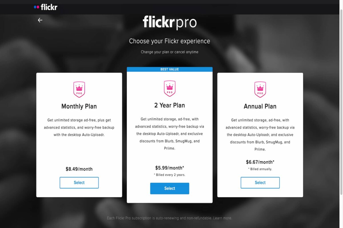 Flickr pro plans that they are offering.