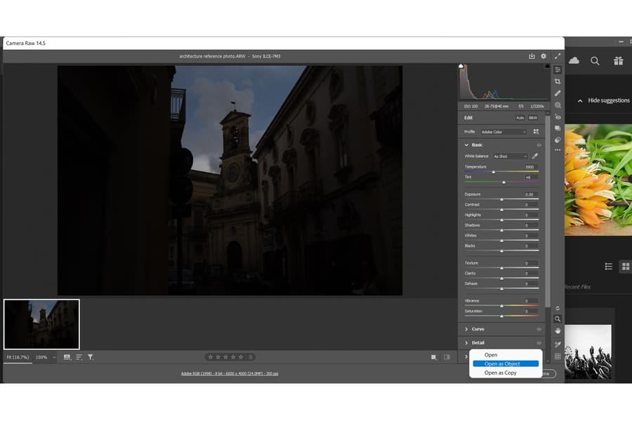Converting the Layer to a Smart Object in Adobe Camera Raw using an image of an old architectural building