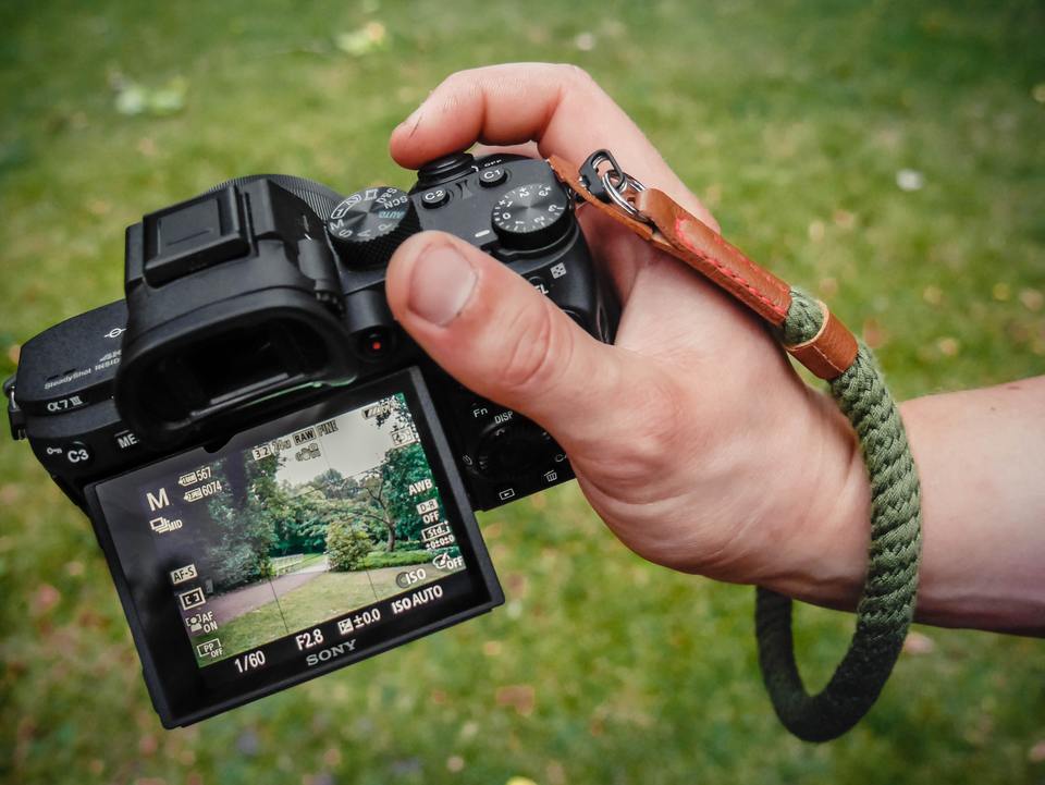 Person taking a photo of an outdoor garden
