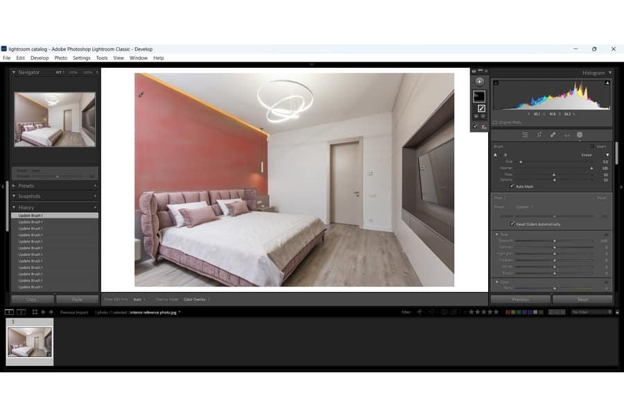 Paint over the background of an image using Lightroom