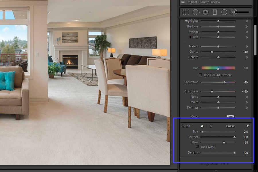 Adjustment Brush options in Lightroom for precise blurring