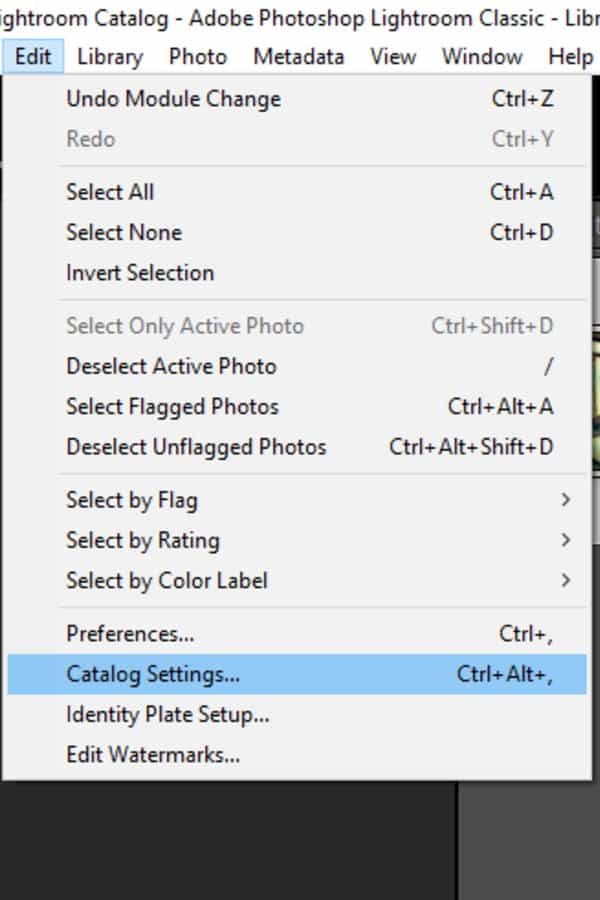 Catalog settings option in Lightroom