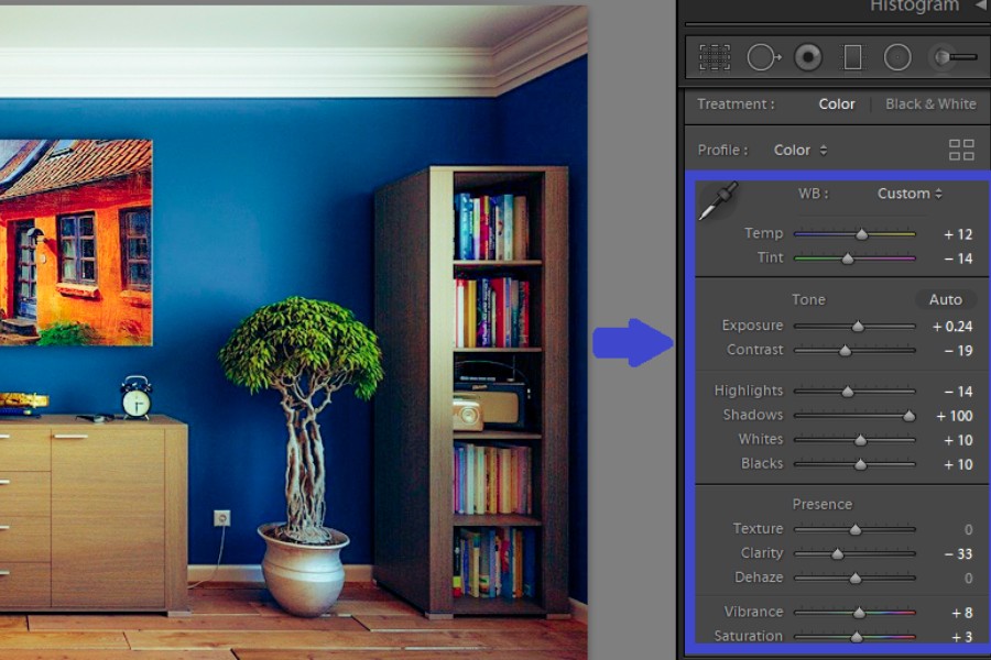 Adjusting the Tone and Presence to remove shadows in Lightroom