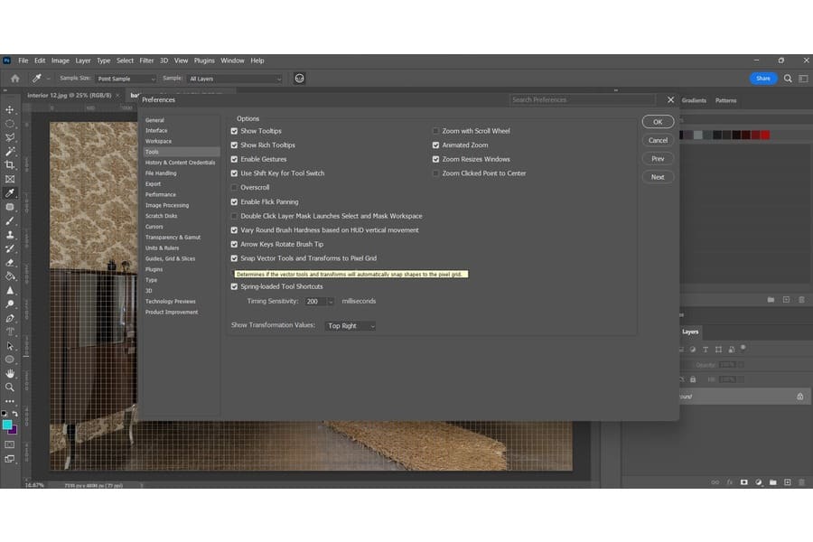 A Photoshop window showing the preferences section