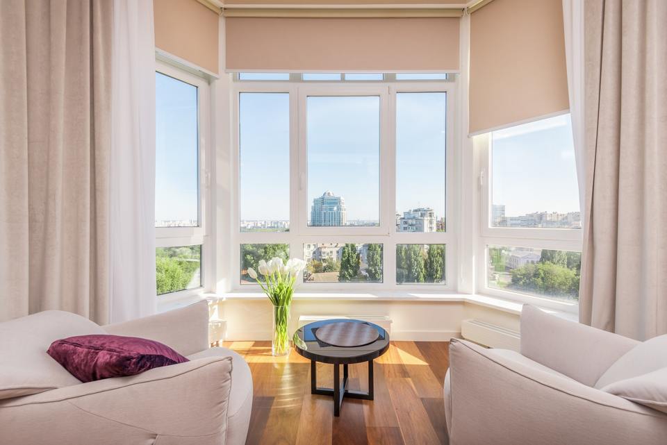 Two living room sofas facing windows